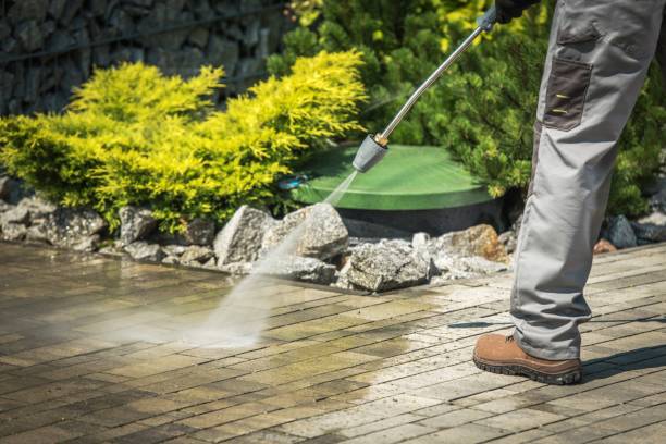 Best Animal Enclosure Cleaning  in Hargill, TX